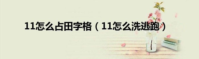 11怎么占田字格(11怎么洗逃跑)