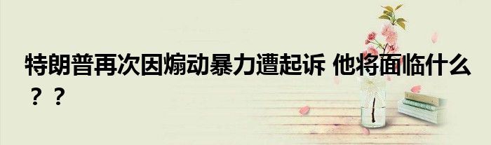 特朗普再次因煽动暴力遭起诉 他将面临什么??