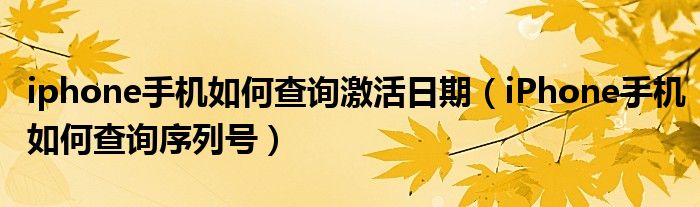 iphone手机如何查询激活日期(iPhone手机如何查询序列号)