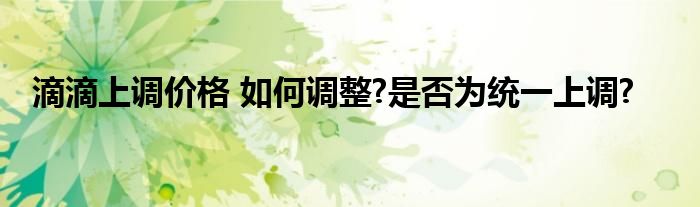 滴滴上调价格 如何调整?是否为统一上调?