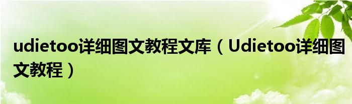 udietoo详细图文教程文库(Udietoo详细图文教程)