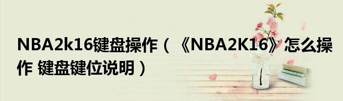 NBA2k16键盘操作(《NBA2K16》怎么操作 键盘键位说明)