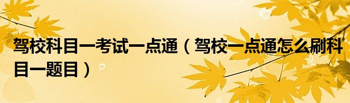 驾校科目一考试一点通(驾校一点通怎么刷科目一题目)