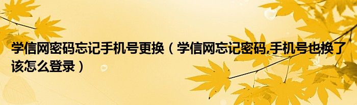 学信网密码忘记手机号更换(学信网忘记密码,手机号也换了该怎么登录)