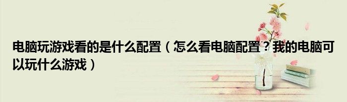 电脑玩游戏看的是什么配置(怎么看电脑配置?我的电脑可以玩什么游戏)