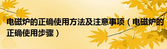 电磁炉的正确使用方法及注意事项(电磁炉的正确使用步骤)