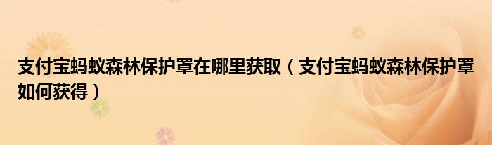 支付宝蚂蚁森林保护罩在哪里获取（支付宝蚂蚁森林保护罩如何获得）