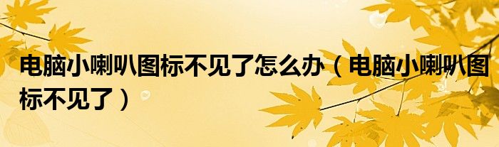 电脑小喇叭图标不见了怎么办(电脑小喇叭图标不见了)