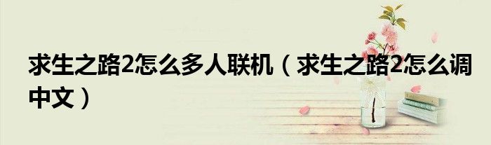 求生之路2怎么多人联机(求生之路2怎么调中文)