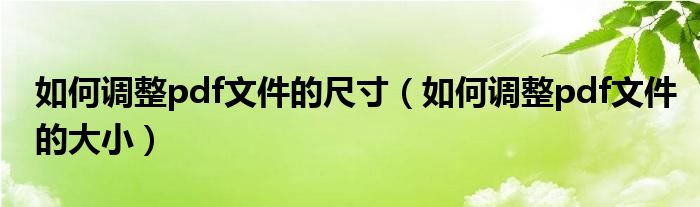 如何调整pdf文件的尺寸(如何调整pdf文件的大小)