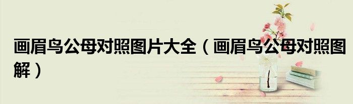 画眉鸟公母对照图片大全(画眉鸟公母对照图解)