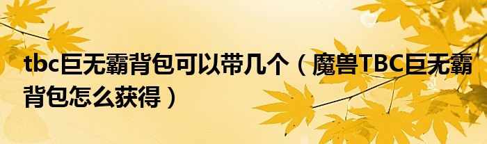 tbc巨无霸背包可以带几个（魔兽TBC巨无霸背包怎么获得）