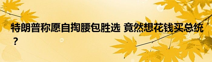 特朗普称愿自掏腰包胜选 竟然想花钱买总统?