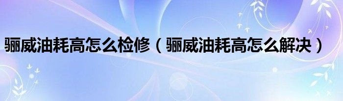 骊威油耗高怎么检修(骊威油耗高怎么解决)