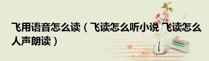 飞用语音怎么读（飞读怎么听小说 飞读怎么人声朗读）