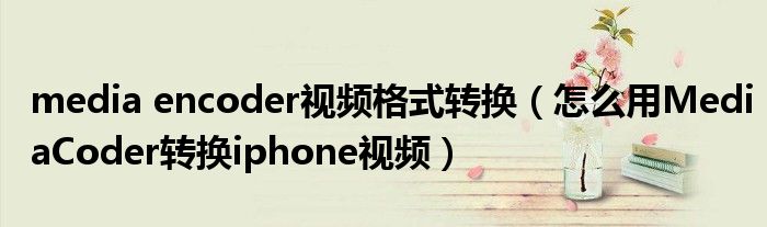 media encoder视频格式转换(怎么用MediaCoder转换iphone视频)