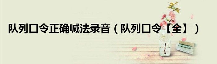队列口令正确喊法录音（队列口令【全】）