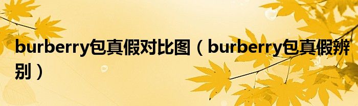 burberry包真假对比图(burberry包真假辨别)