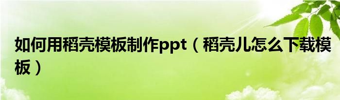如何用稻壳模板制作ppt(稻壳儿怎么下载模板)