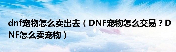 dnf宠物怎么卖出去(DNF宠物怎么交易?DNF怎么卖宠物)