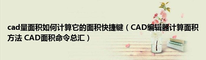 cad量面积如何计算它的面积快捷键(CAD编辑器计算面积方法 CAD面积命令总汇)