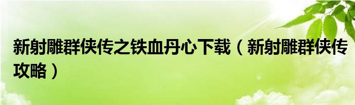 新射雕群侠传之铁血丹心下载(新射雕群侠传攻略)