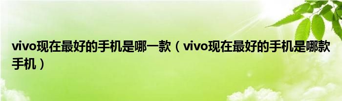 vivo现在最好的手机是哪一款（vivo现在最好的手机是哪款手机）