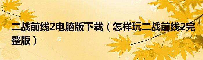 二战前线2电脑版下载（怎样玩二战前线2完整版）