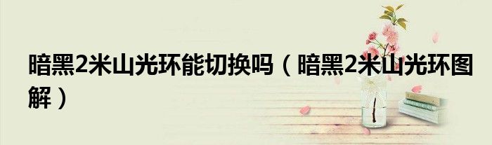 暗黑2米山光环能切换吗(暗黑2米山光环图解)
