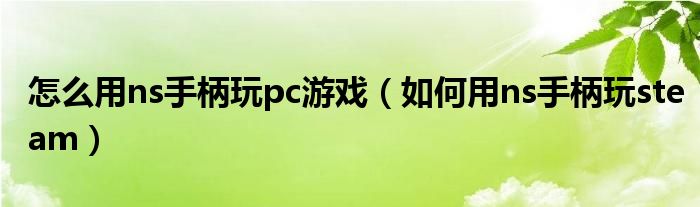 怎么用ns手柄玩pc游戏(如何用ns手柄玩steam)