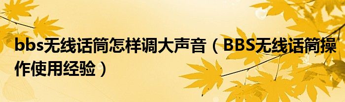 bbs无线话筒怎样调大声音（BBS无线话筒操作使用经验）