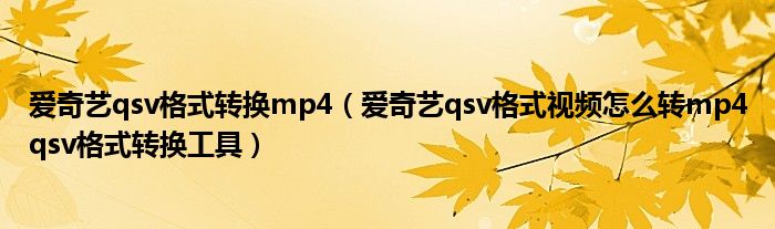 爱奇艺qsv格式转换mp4(爱奇艺qsv格式视频怎么转mp4qsv格式转换工具)