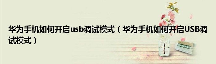 华为手机如何开启usb调试模式(华为手机如何开启USB调试模式)