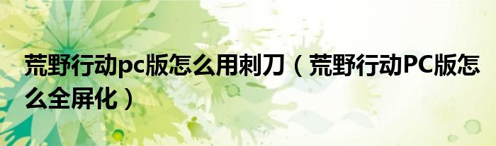 荒野行动pc版怎么用刺刀(荒野行动PC版怎么全屏化)