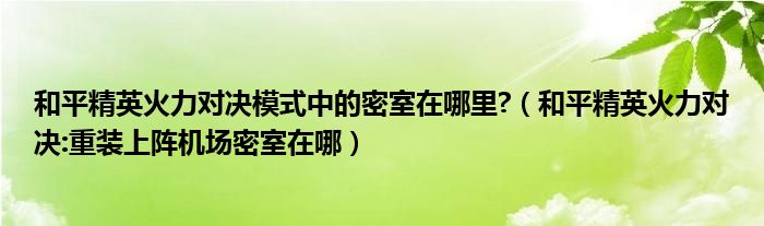 和平精英火力对决模式中的密室在哪里?(和平精英火力对决:重装上阵机场密室在哪)