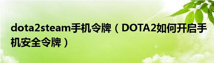 dota2steam手机令牌(DOTA2如何开启手机安全令牌)