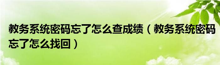 教务系统密码忘了怎么查成绩(教务系统密码忘了怎么找回)