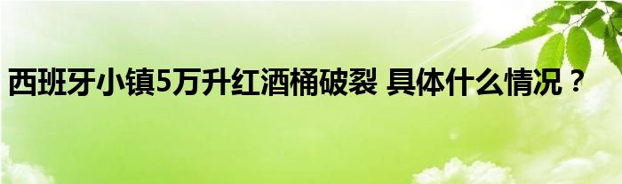 西班牙小镇5万升红酒桶破裂 具体什么情况?