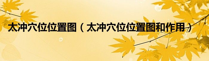 太冲穴位位置图(太冲穴位位置图和作用)