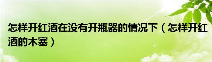 怎样开红酒在没有开瓶器的情况下(怎样开红酒的木塞)