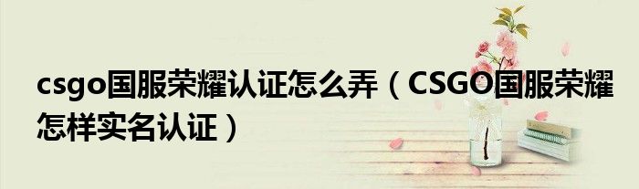csgo国服荣耀认证怎么弄(CSGO国服荣耀怎样实名认证)