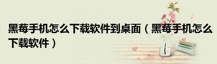 黑莓手机怎么下载软件到桌面(黑莓手机怎么下载软件)