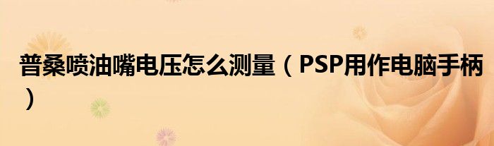 普桑喷油嘴电压怎么测量(PSP用作电脑手柄)