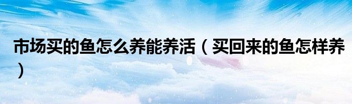 市场买的鱼怎么养能养活(买回来的鱼怎样养)