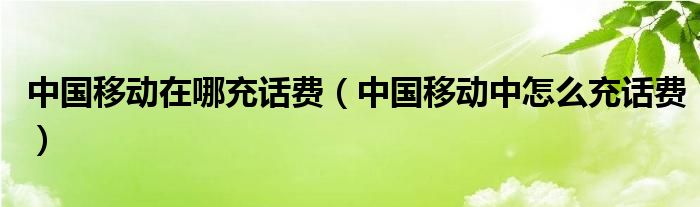 中国移动在哪充话费（中国移动中怎么充话费）