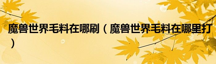 魔兽世界毛料在哪刷(魔兽世界毛料在哪里打)