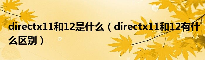 directx11和12是什么(directx11和12有什么区别)