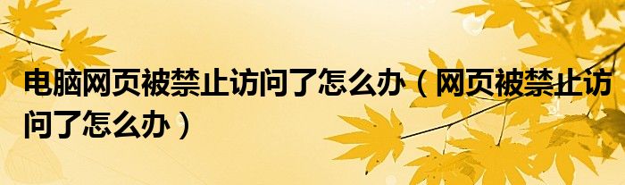 电脑网页被禁止访问了怎么办(网页被禁止访问了怎么办)