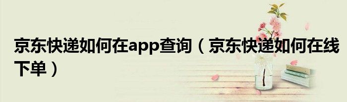 京东快递如何在app查询(京东快递如何在线下单)