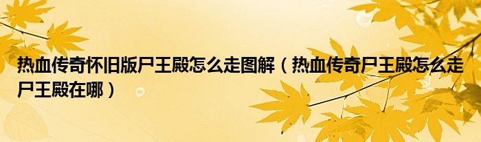 热血传奇怀旧版尸王殿怎么走图解(热血传奇尸王殿怎么走尸王殿在哪)
